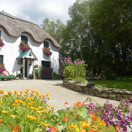 Lissyclearig Thatched Cottage Кенмар Экстерьер фото